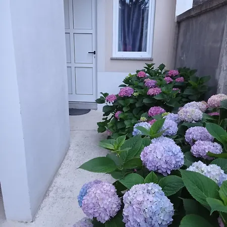 Villa Gregovica a2 * Pola