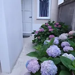 Tinno M * 普拉